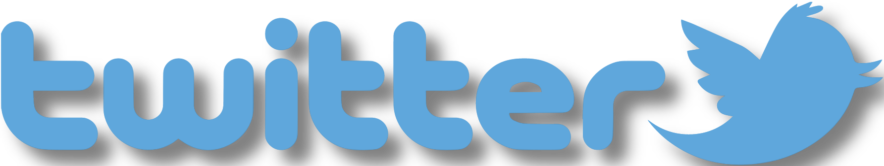 twitter logo